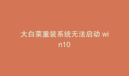 大白菜重装系统无法启动 win10