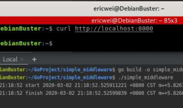 Go Pentester - HTTP Servers(1)