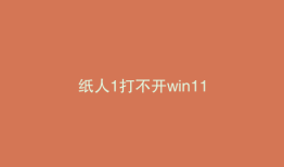纸人1打不开win11