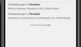 iOS之集成GoogleMap定位、搜索注意事项