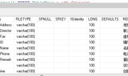 C# dev SearchLookUpEdit 和 RepositoryItemSearchLookUpEdit 测试