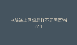电脑连上网但是打不开网页Win11