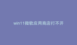 win11微软应用商店打不开