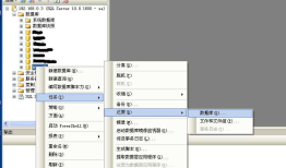 SQL Server 2008数据库备份和还原（还原是必须有完整备份）