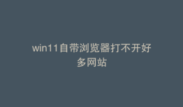 win11自带浏览器打不开好多网站