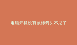 电脑开机没有鼠标箭头不见了