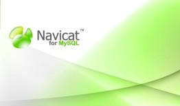 在navicat中如何新建连接数据库
