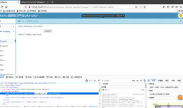 Web安全技术实验3