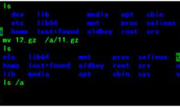 linux 移动和重命名