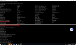 Citrix ADC（原NetScaler）CVE-2019-19781漏洞修复