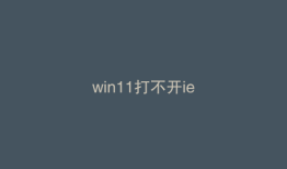 win11打不开ie