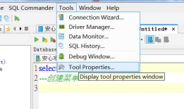 dbvisualizer free 9.5.6中文乱码