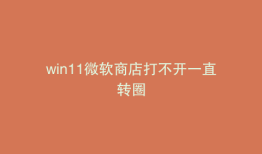 win11微软商店打不开一直转圈