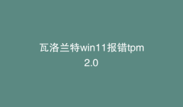 瓦洛兰特win11报错tpm2.0