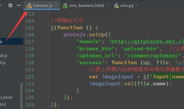一百三十一：CMS系统之轮播图上传图片功能