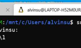WSL2+Docker部署RabbitMQ以及在Asp.net core 中使用RabbitMQ示例（1）