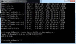 Docker 简单发布dotnet core项目