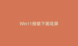 Win11报错下面花屏