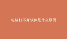 电脑打不开软件是什么原因