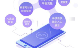 LTD营销SaaS-小程序方案
