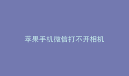 苹果手机微信打不开相机