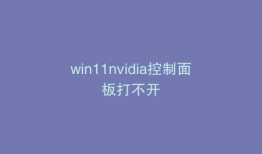 win11nvidia控制面板打不开