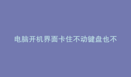 电脑开机界面卡住不动键盘也不好使