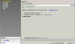 APPSCAN的使用