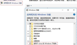 Windows Ubuntu Bash申请免费通配符证书(Let's Encrypt)并绑定IIS
