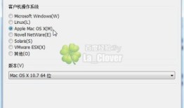 解决VMware10虚拟机客户机操作系统无苹果MacOSX
