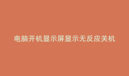 电脑开机显示屏显示无反应关机再开一次就亮