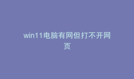 win11电脑有网但打不开网页