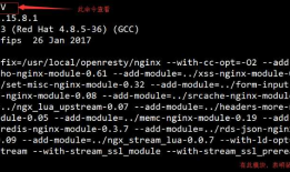 Nginx之https配置
