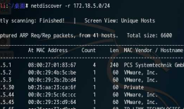 CTF--HTTP服务--命令执行