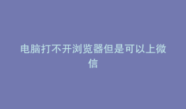 电脑打不开浏览器但是可以上微信