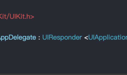 iOS13 ，xcode11新建项目真机运行出现黑屏