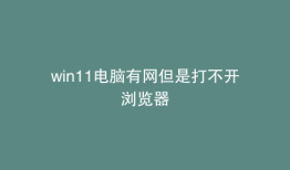 win11电脑有网但是打不开浏览器