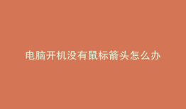 电脑开机没有鼠标箭头怎么办