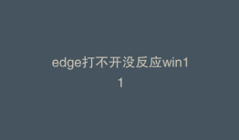 edge打不开没反应win11