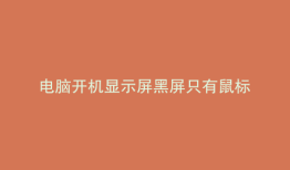 电脑开机显示屏黑屏只有鼠标