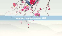 asp.net cache.count 报错