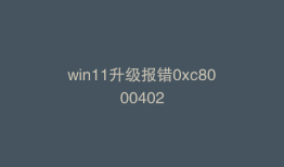 win11升级报错0xc8000402