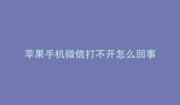 苹果手机微信打不开怎么回事