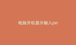 电脑开机显示输入pin