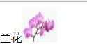 CSS---常用属性总结