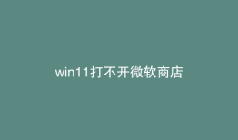 win11打不开微软商店
