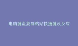 电脑键盘复制粘贴快捷键没反应