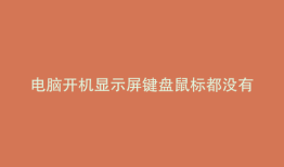 电脑开机显示屏键盘鼠标都没有反应