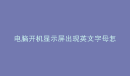 电脑开机显示屏出现英文字母怎么办