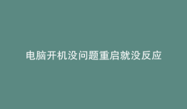 电脑开机没问题重启就没反应